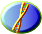 DNA life chemistry button